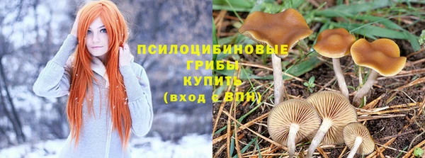 не бодяженный Абдулино