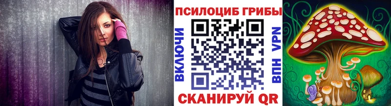 Псилоцибиновые грибы Cubensis  Урюпинск 